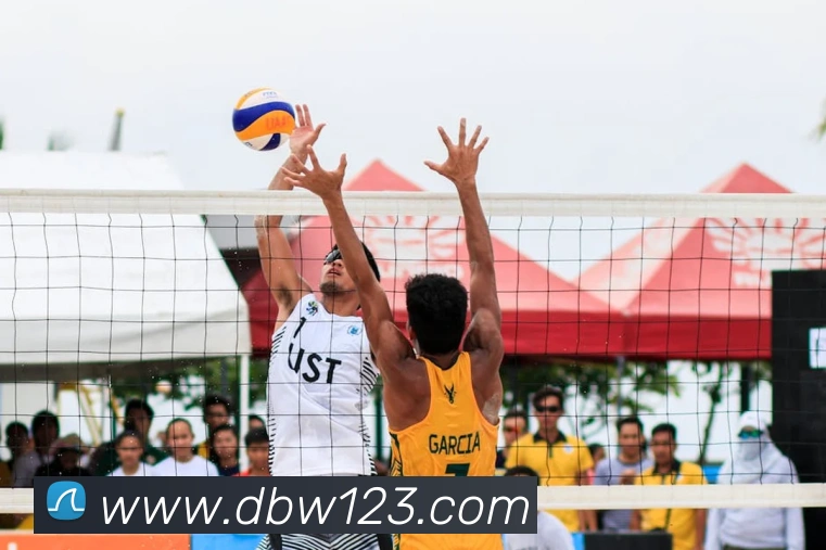 数据分析功能